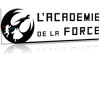 sabre laser : l'académie de la force