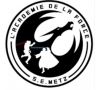 sabre laser : l'académie de la force