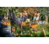 sortie Halloween 2025 à Europa Park ou Rulantica (samedi)