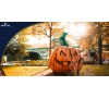 sortie Halloween 2025 à Europa Park ou Rulantica (samedi)