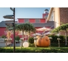 sortie Halloween 2025 à Europa Park ou Rulantica (samedi)