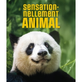 week-end au zoo de Beauval