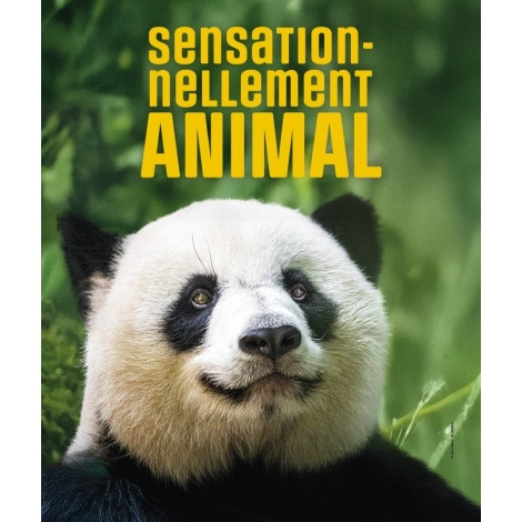 week-end au zoo de Beauval