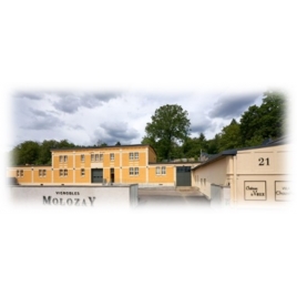 Visite et dégustation au domaine MOLOZAY