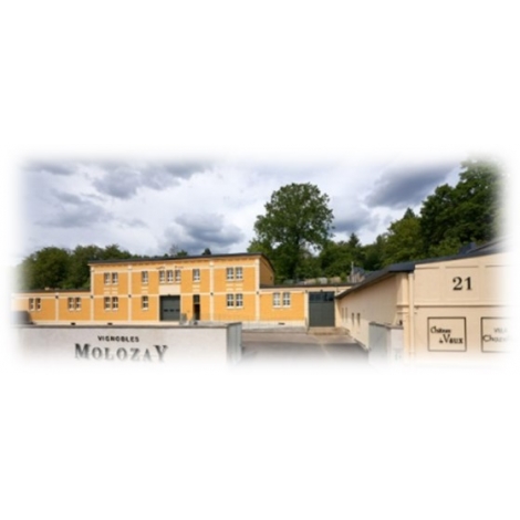 Visite et dégustation au domaine MOLOZAY
