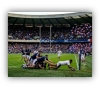 rugby Tournoi des 6 Nations France vs Écosse